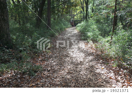 登山 19321371