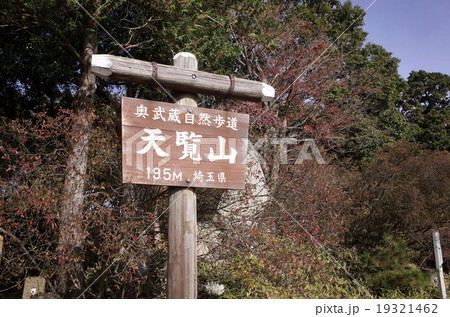 天覧山 天覧山 19321462