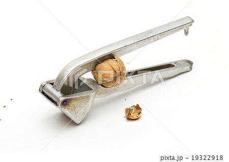 chopper on the white background 19322918