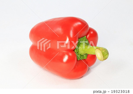 パプリカ パプリカ 19323018