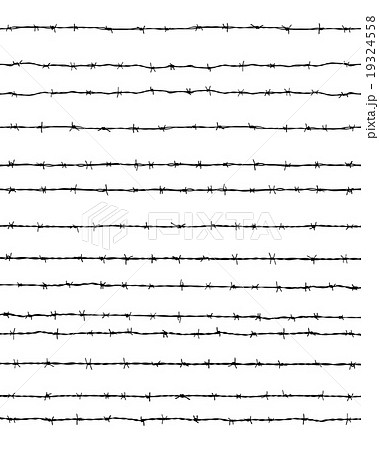 barbed wire 19324558