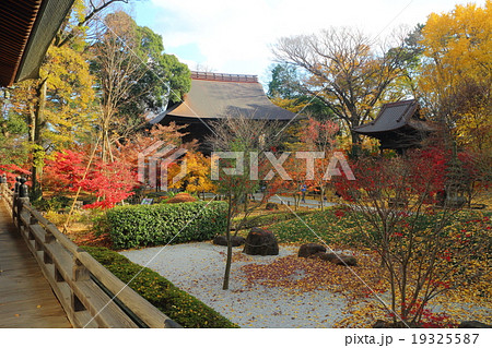 九品仏浄真寺 仁王門 紅葉 九品仏浄真寺 仁王門 紅葉 19325587