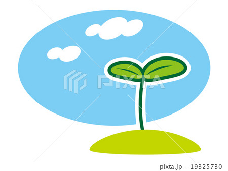 萌える 双葉 萌える 双葉 19325730