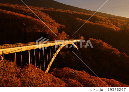夕日を浴びる城ヶ倉大橋と周囲の紅葉 19326247