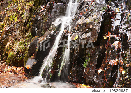 晩秋の滝 19326887