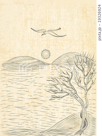 landscape sea shore and flying seagull 19326924