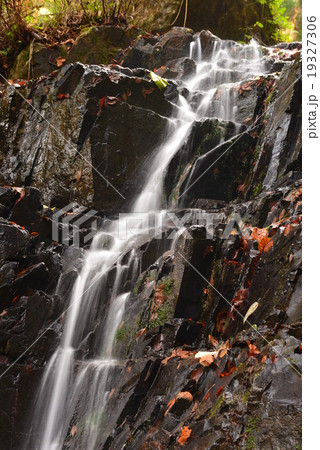 晩秋の滝 晩秋の滝 19327306