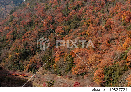 京都 保津峡の紅葉とトロッコ列車 京都 保津峡の紅葉とトロッコ列車 19327721