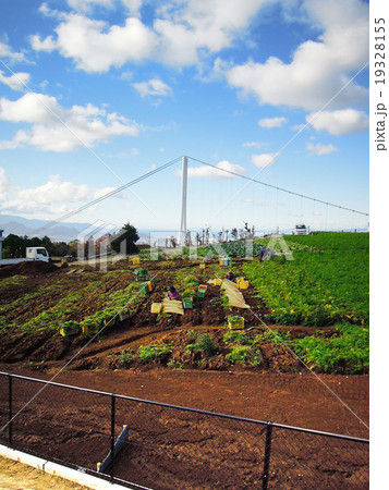 三島スカイウォーク 19328155