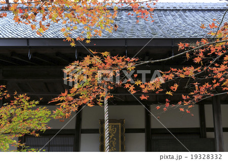 京都南禅院 京都南禅院 19328332