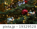 クリスマスツリー 19329528