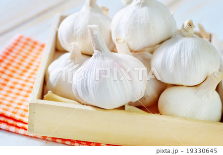 garlic garlic 19330645