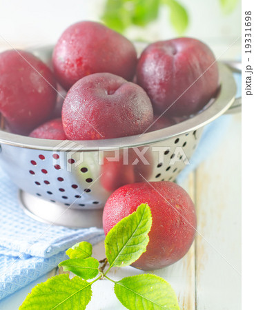 plums plums 19331698