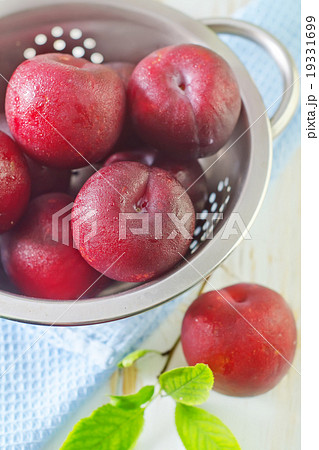 plums plums 19331699