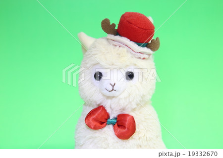 ぬいぐるみ 19332670