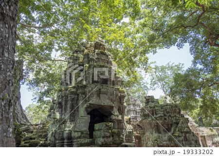 カンボジア　シェムリアップ　タプローム遺跡 19333202