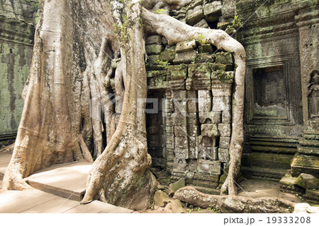 カンボジア シェムリアップ タプローム遺跡の写真素材