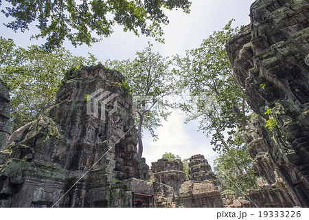 カンボジア　シェムリアップ　タプローム遺跡 19333226