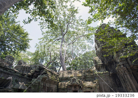 カンボジア シェムリアップ タプローム遺跡の写真素材