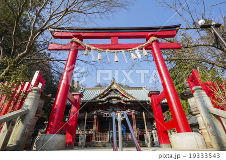 高尾山　薬王院 19333543