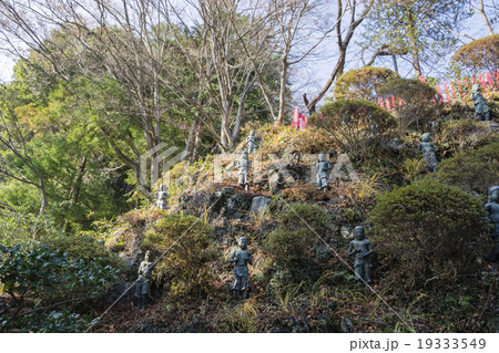 高尾山　薬王院 19333549