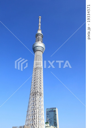 東京スカイツリー 19334571