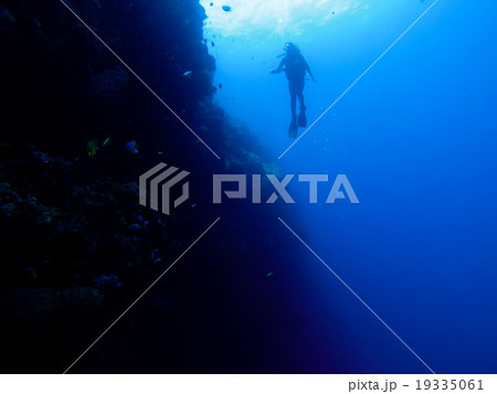 Silhouette of diver at a wall with fish and corals 19335061