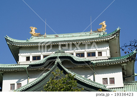 名古屋城　金の鯱 19336423
