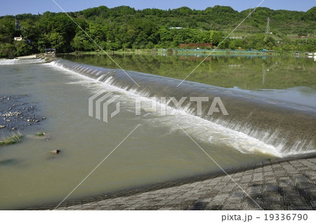 雨で増水した川の堰 雨で増水した川の堰 19336790
