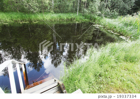 swimming pond and in the wood 19337334