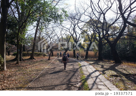 公園の道 公園の道 19337571