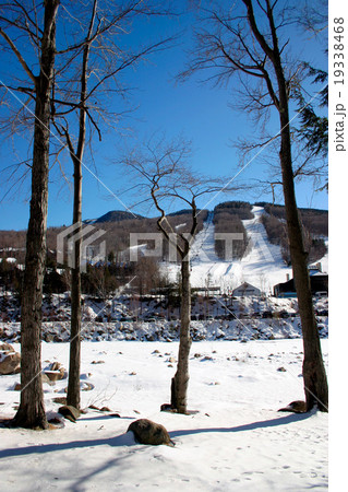 Winter scene in New England, USA.. 19338468