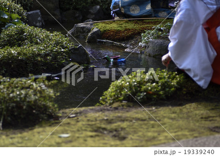 城南宮　曲水の宴（平安の庭） 19339240