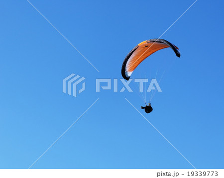 パラグライダー 19339773