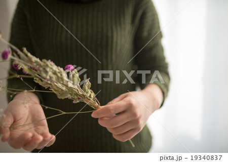 ドライフラワー ドライフラワー 19340837