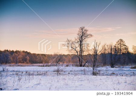 Winter dawn. Sunrise in winter morning.  19341904