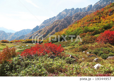 俯瞰平ノ池紅葉 俯瞰平ノ池紅葉 19344957