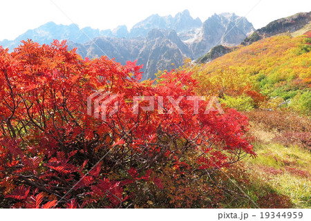 紅葉平ノ池 紅葉平ノ池 19344959