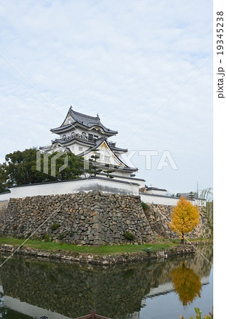 岸和田城（大阪府岸和田市岸城町） 19345238