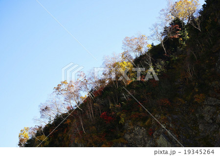 別山尾根紅葉 19345264