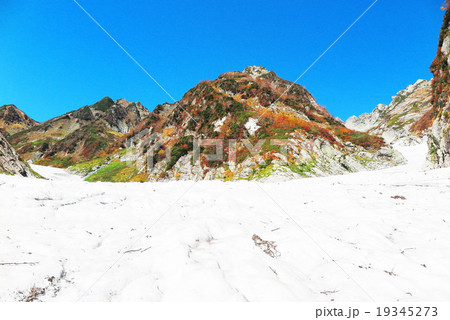 剱沢雪渓紅葉 19345273
