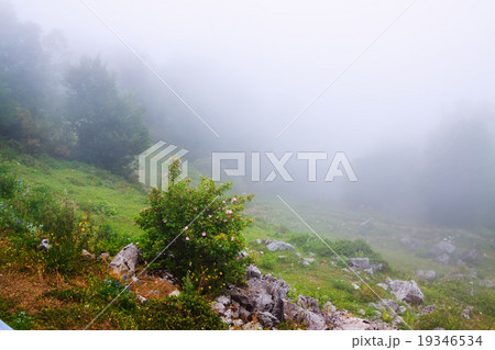 Misty mountain landscape Misty mountain landscape 19346534
