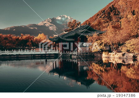 Black Dragon pool 19347386