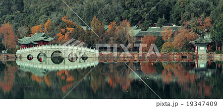 Black Dragon pool 19347409