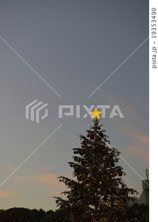 クリスマスツリー　夕景 19353490