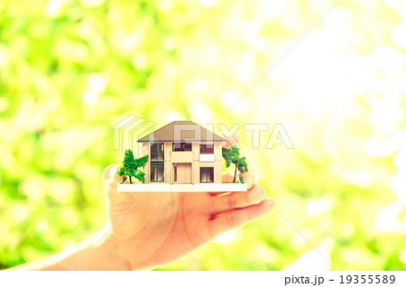 住宅模型 緑色の背景 住宅模型 緑色の背景 19355589