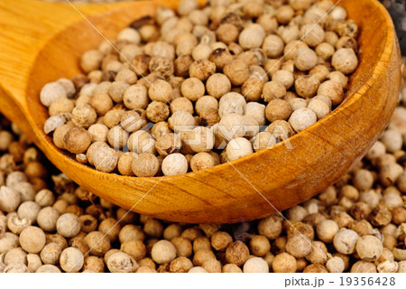 close up white pepper and wooden spoon 19356428