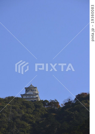金華山・岐阜城(岐阜県岐阜市) 金華山・岐阜城(岐阜県岐阜市) 19360083