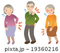 高齢者　身体の痛み　セット 19360216