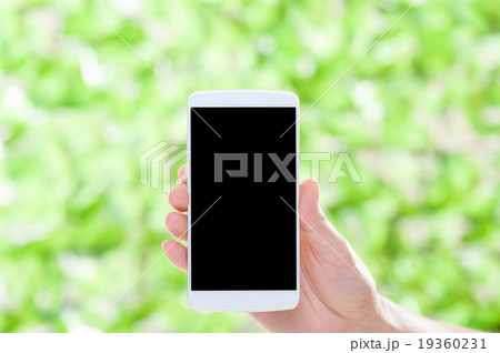 緑の背景 スマートフォン 19360231